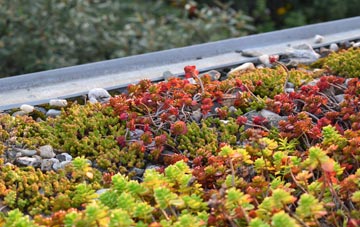 the cost of Corrie Common green roof installation