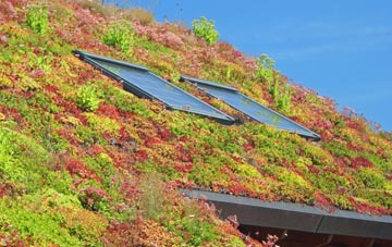 Corrie Common living roof systems